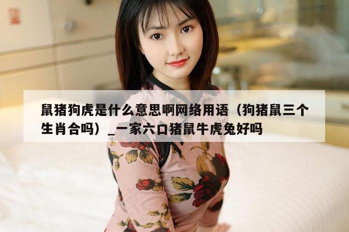 鼠猪狗虎是什么意思啊网络用语(狗猪鼠三个生肖合吗)_一家六口猪鼠牛虎兔好吗